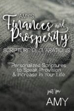 Amy's Finances and Prosperity Scripture Declarations