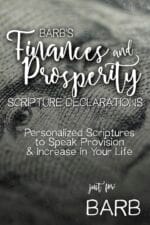Barb's Finances and Prosperity Scripture Declarations