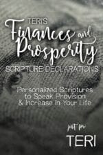 Teri's Finances and Prosperity Scripture Declarations