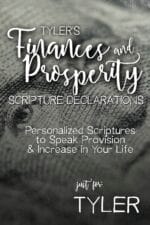 Tyler's Finances and Prosperity Scripture Declarations