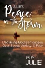 Julie's Peace in the Storm